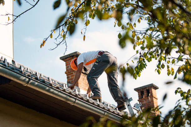 Best Shingle Roofing Installation  in Forest Ranch, CA