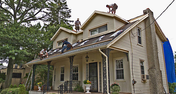 Roof Gutter Cleaning in Forest Ranch, CA