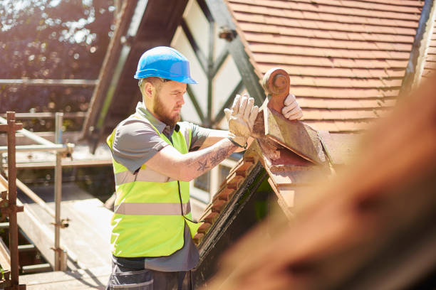 Best New Roof Installation  in Forest Ranch, CA