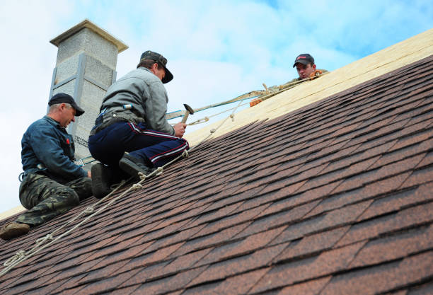 Best Best Roofing Contractors  in Forest Ranch, CA